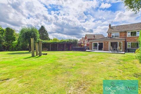 Back Garden
