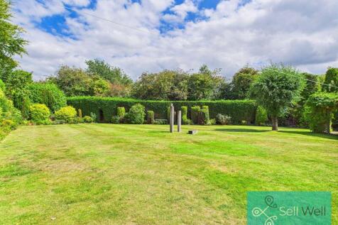 Back Garden