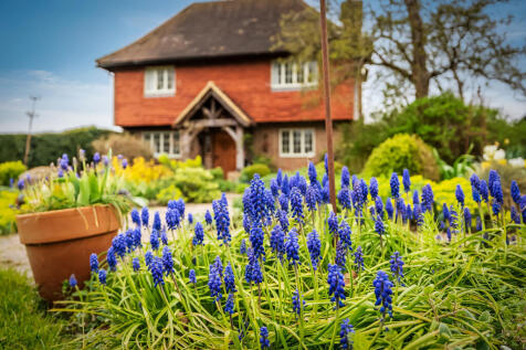 Medlar-Cottage-28