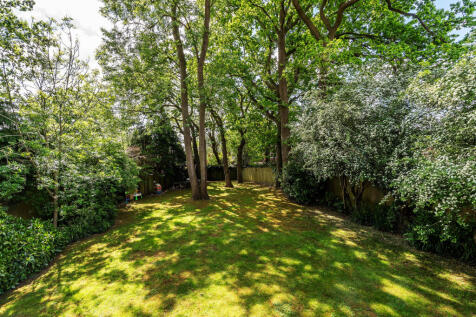 Edenwood-47
