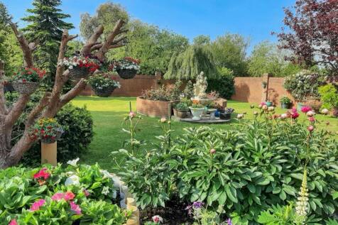 Front Garden in Summer