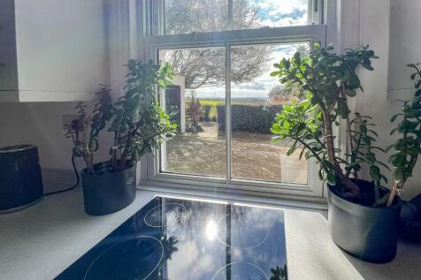 Kitchen Window