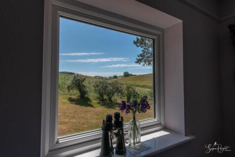 Views from Bedroom Two