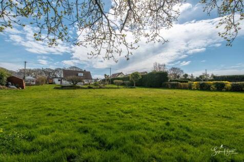Bedesdale-38.jpg