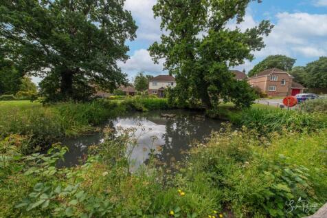 Nearby communal pond