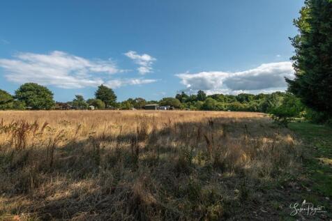 Garden and Land