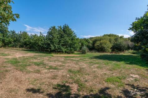 Garden and Land