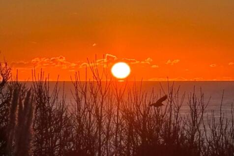 Sunrise from the Terrace