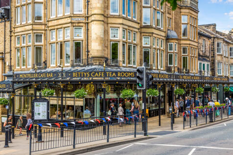 harrogate6