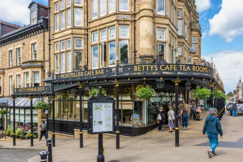 harrogatedrp