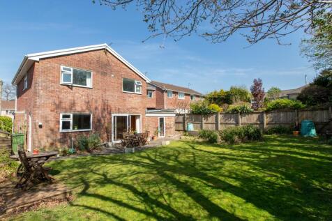 Property Image 44