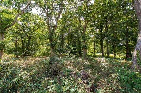 Woodlands