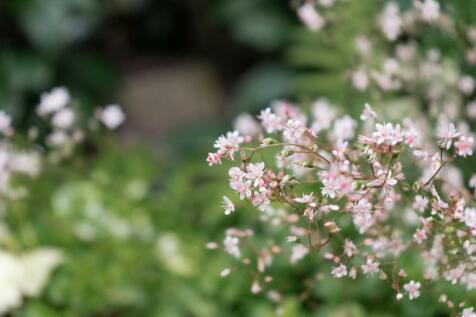 DSC03365.jpg
