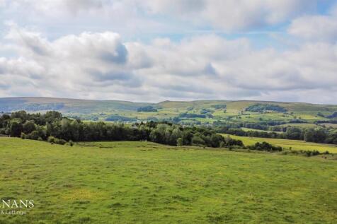 DJI_0152.jpg