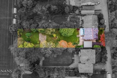 DJI_0918.jpg
