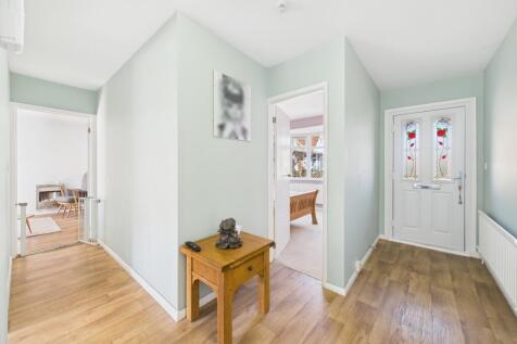 CAM03162G0-PR0239-STILL024