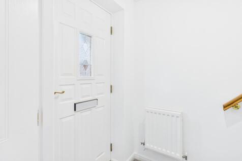 CAM03162G0-PR0361-STILL007