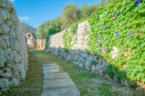 Property Image 60