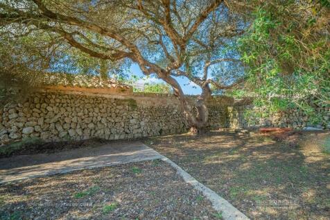Property Image 63