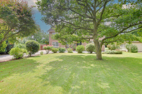 Property Image 37
