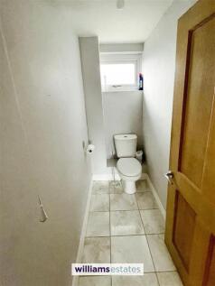 16ca4286-IMG_4206.jpg.jpeg