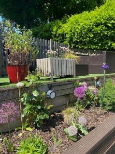 Garden 6