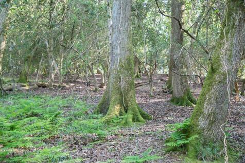 Photo 44