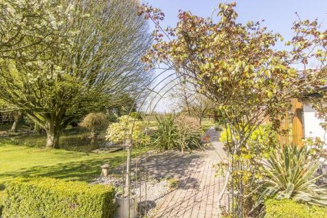 Garden Photo Two