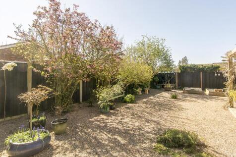 Garden Photo Three