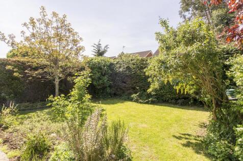 Garden Photo Two