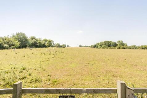 Field Views