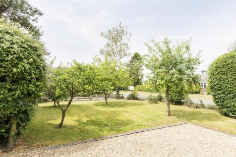 Orchard