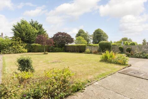 Garden Photo 2