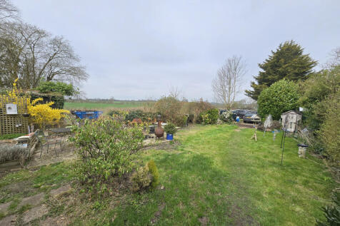 IMG-20250325-WA0030