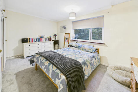 CAM05449G0-PR0039-STILL014