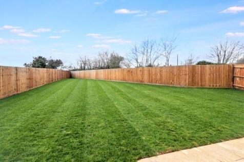 NEW PLOT10 GARDEN