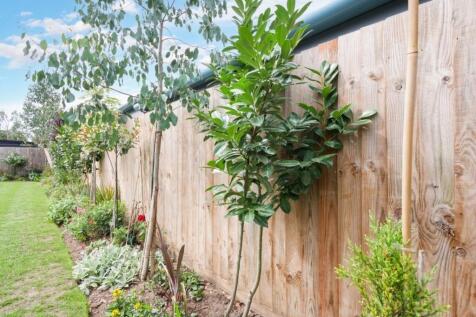 GARDEN4