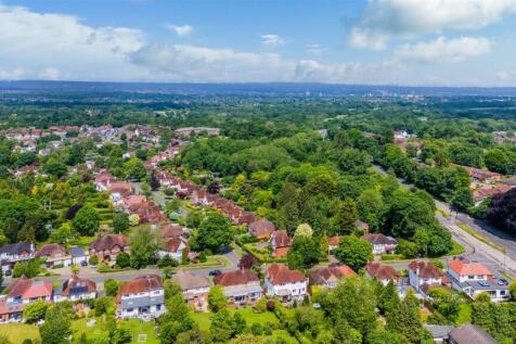 BURGH WOOD, 11 DRONE  (5).jpg