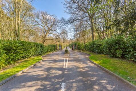 ElizabethDrive-DevelopmentPhotos-201.jpg