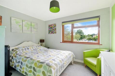 ROSE BUSHES, 63 (16).jpg