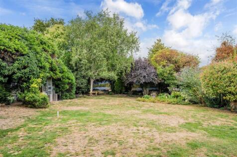 ROSE BUSHES, 63 (2).jpg