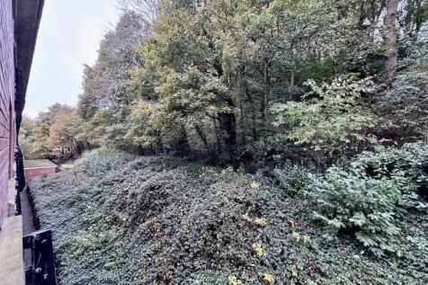 WOODLAND VIEW