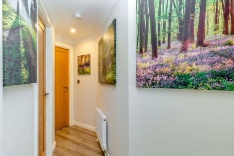 LUXURY LODGE 1