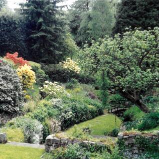 VENDOR&#39;S SPRING GARDEN IMAGES