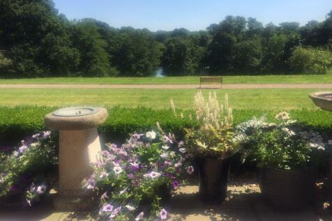 PATIO VIEW