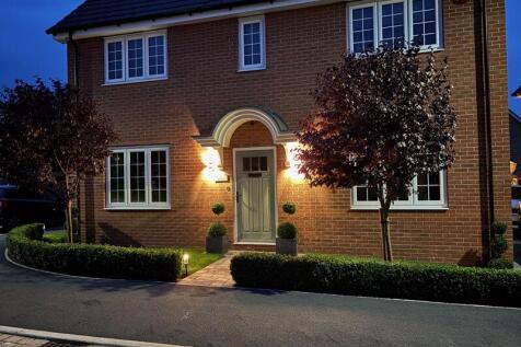 VENDOR NIGHT PHOTO FRONT