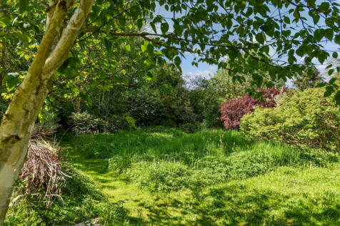 Property Image 43