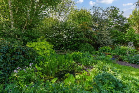 Property Image 46