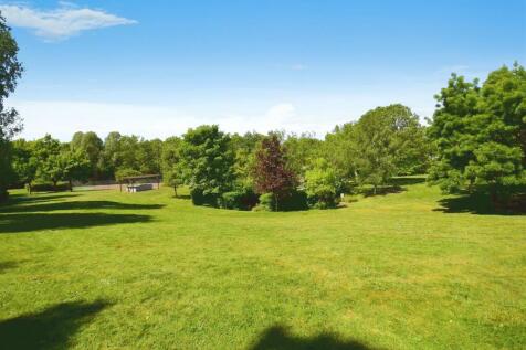 eed76f17-1COMMUNALGARDENS3.JPG