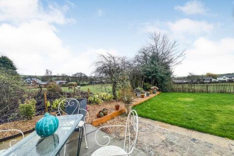 Garden with Horses Grazing in Field 